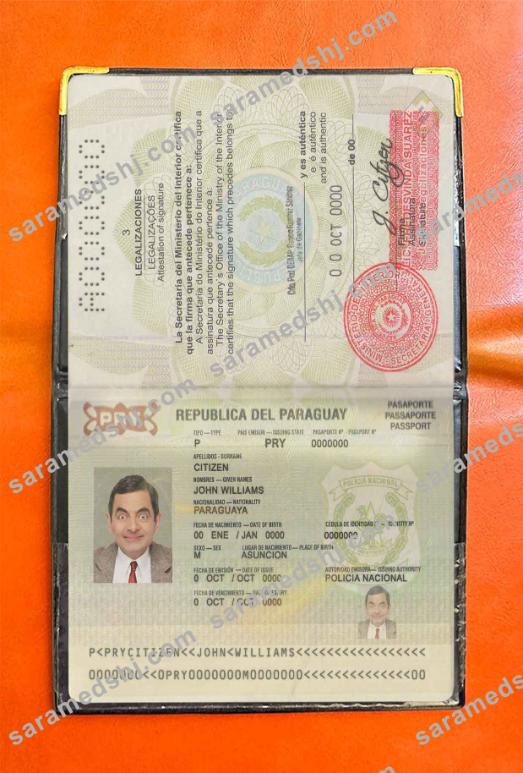 Paraguay passport photo look